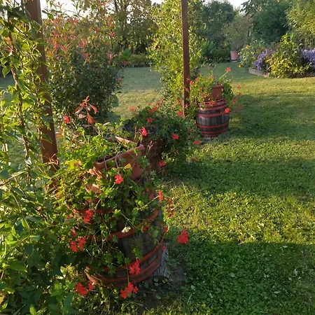 Apartamento Szoloskert Cserszegtomaj