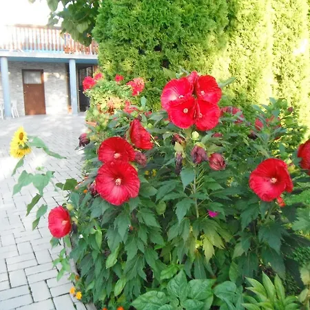 Szoloskert