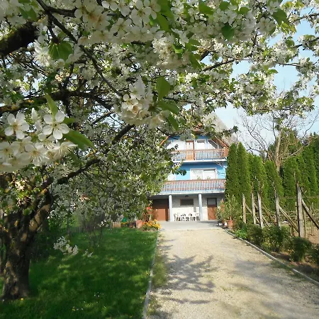 Szoloskert Apartamento