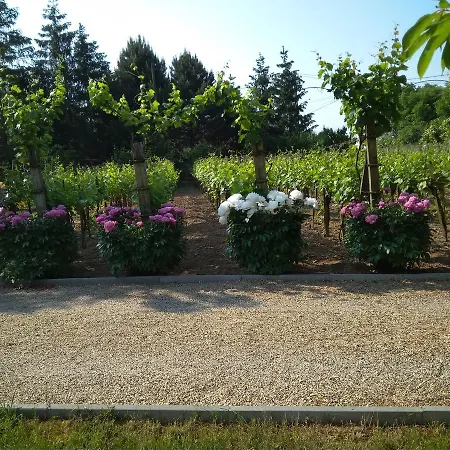 Apartamento Szoloskert