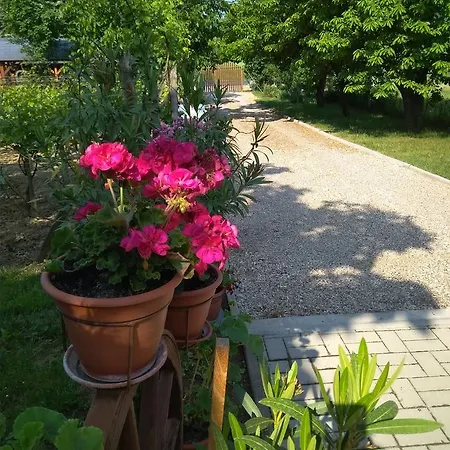 Szoloskert Apartamento *