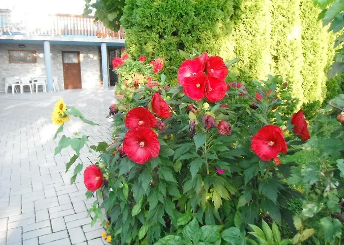 Szoloskert