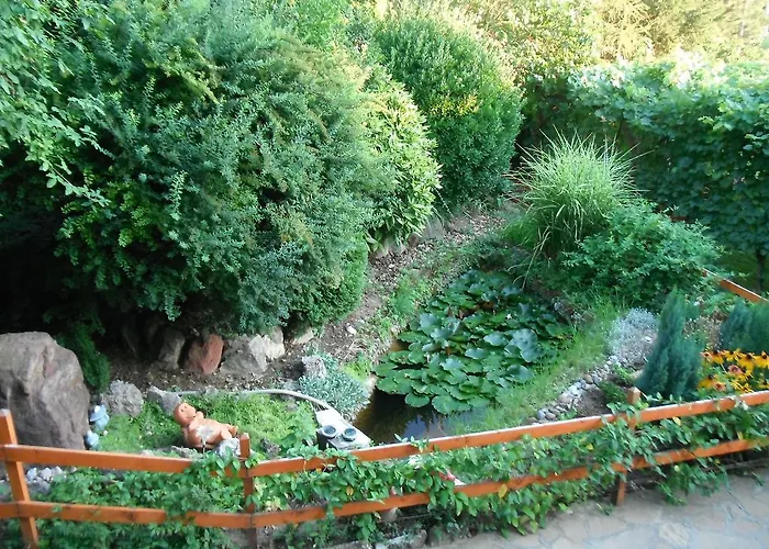 Szoloskert * Cserszegtomaj
