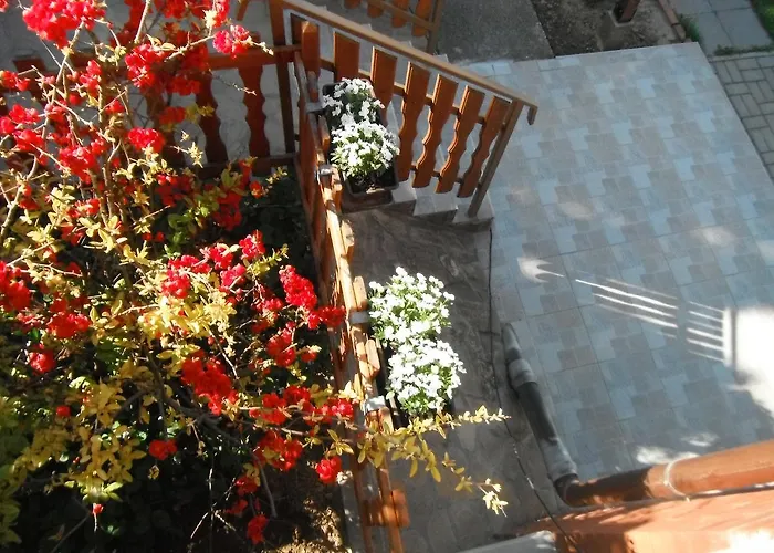Διαμέρισμα Szoloskert *